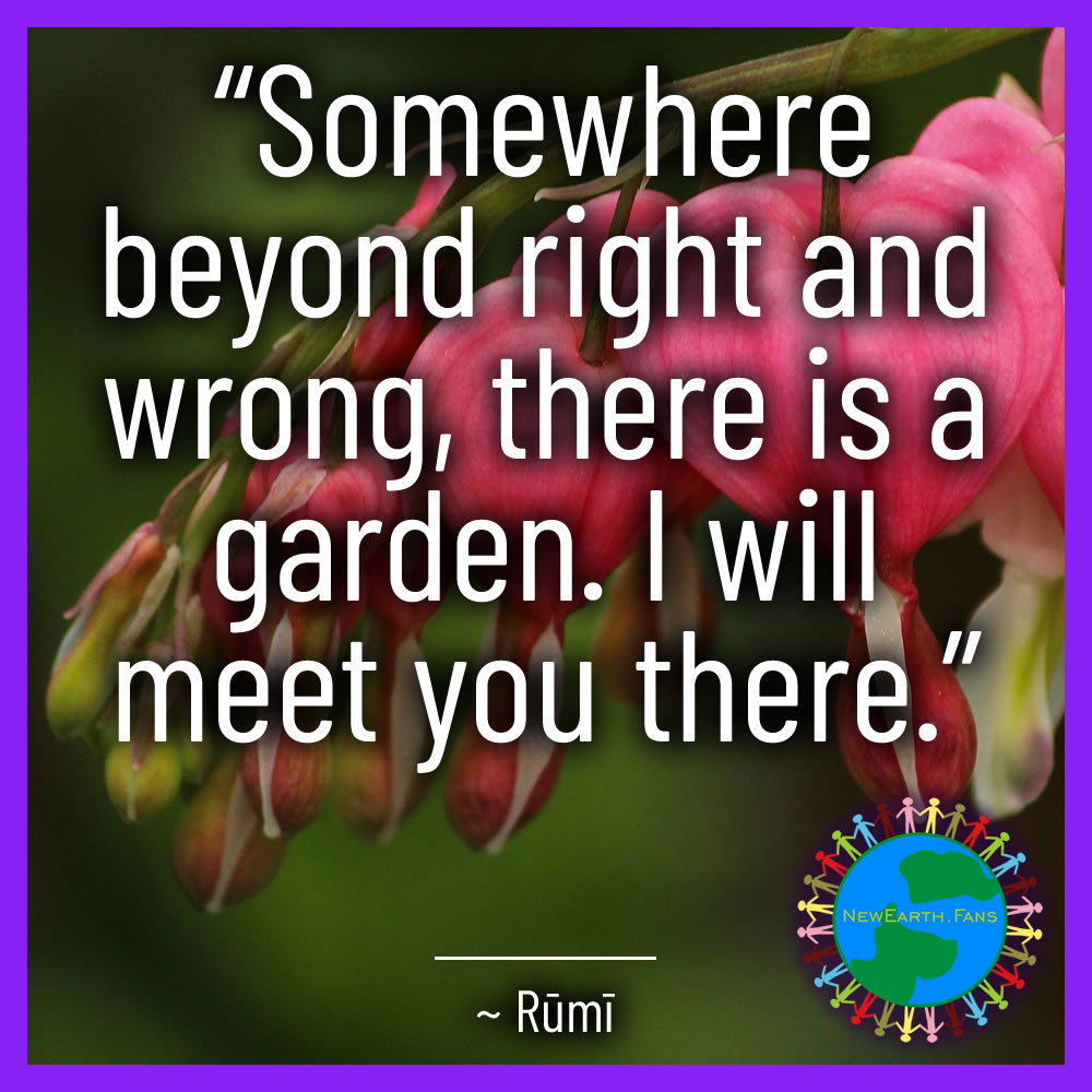 “Somewhere beyond right and wrong, there is a garden. I will meet you there.” ~ Rumi